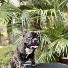 Novotel Les Halles - Expérience Les Halles